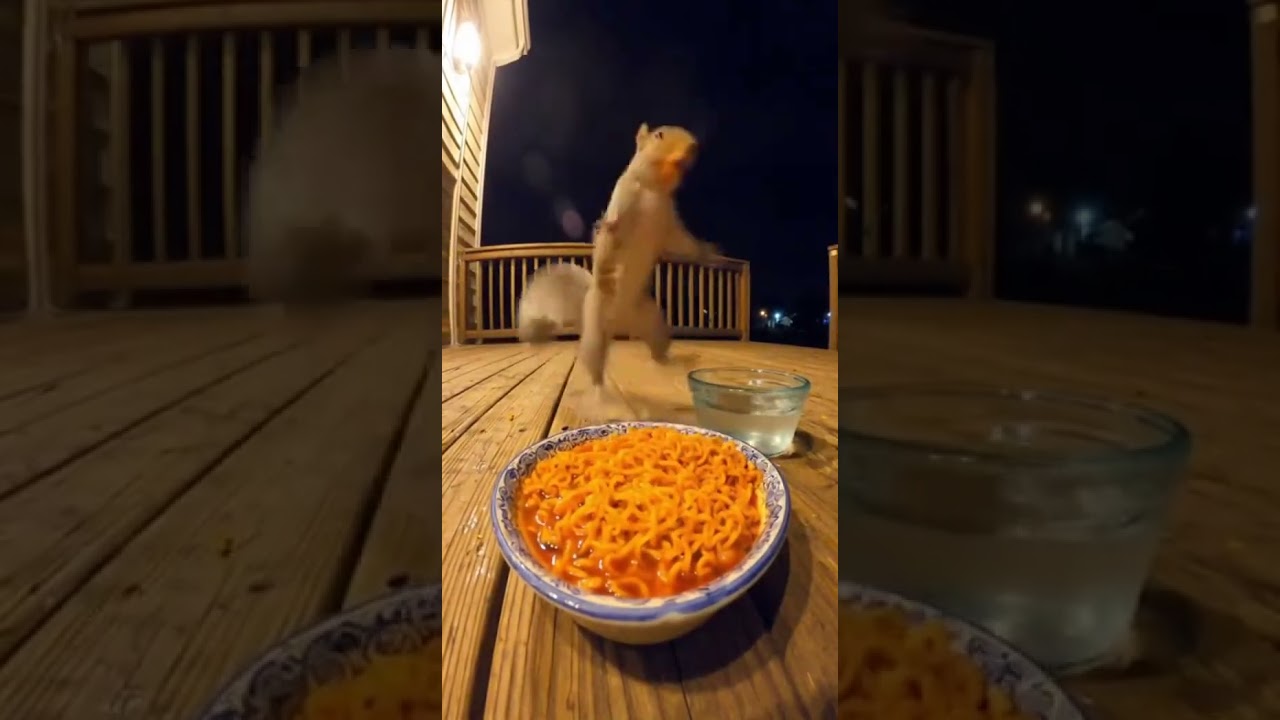 Squirrel Eats Spicy Noodles&hellip; Then Regrets It! 🌶️😂