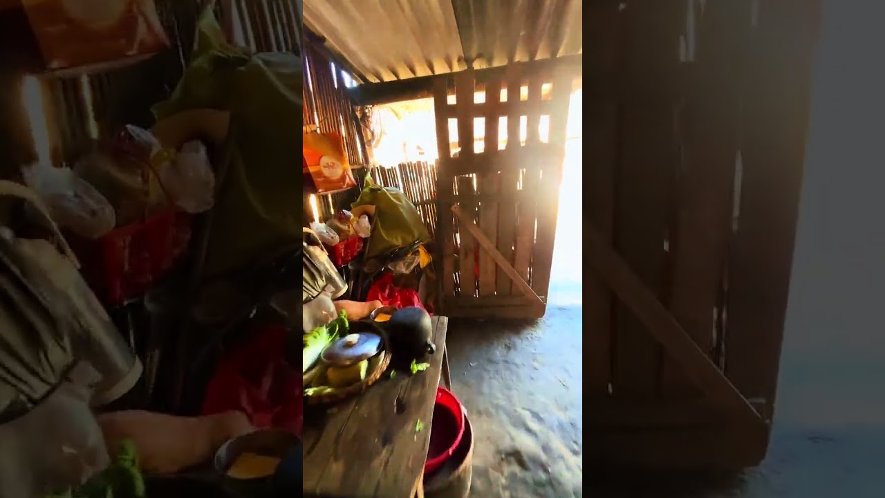 帮山里大哥卖土猪土鸡，谢谢大家的支持 #助力家乡农产品 #乡村守护人 #大山里的味道
