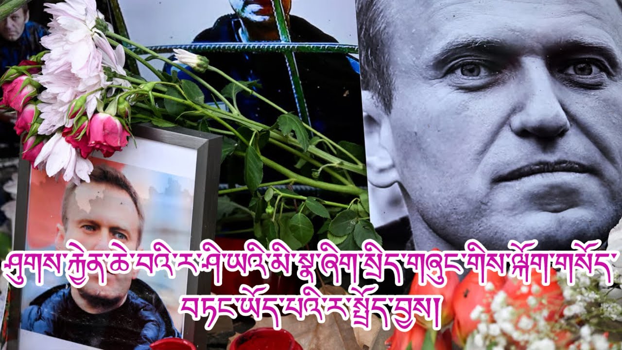 པུ་ཊི་གྱི་ཁ་གཏད་ཆེ་ཤོས། དུག་གིས་བསད་པ། སྐྱེས་དངོས་མཚོན་ཆ། འགྲོ་བ་མིའི་ཐོབ་ཐང་། བདེ་འཇགས། རྒྱལ་ཁབ་ལྔ།