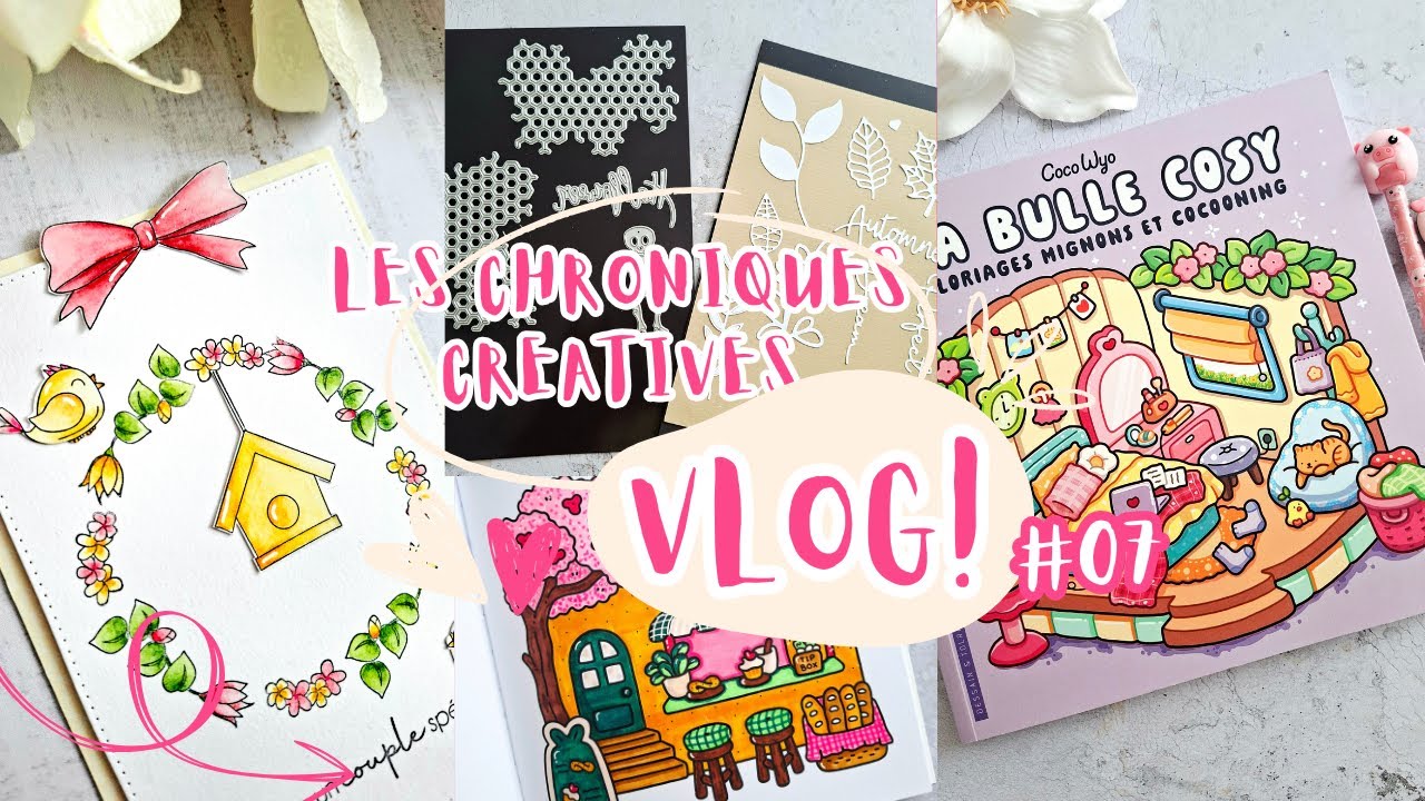 [Vlog] De la colorisation, des petits achats et rangement matrices de découpes