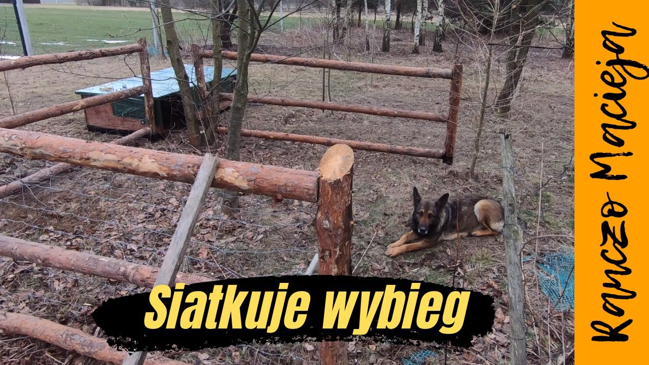 Siatkowanie i budowa wybiegu #223