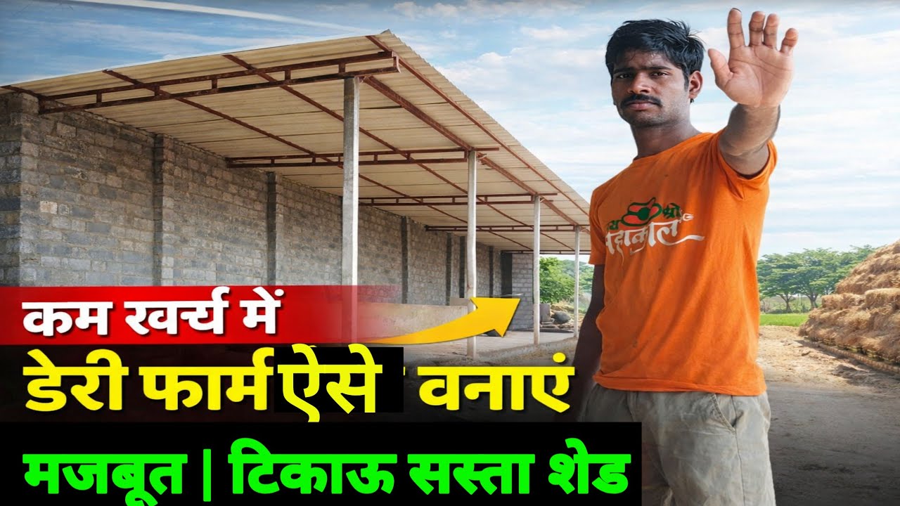 💰 कम खर्च में डेरी फार्म कैसे बनाएं | मजबूत और टिकाऊ शेड डिज़ाइन
