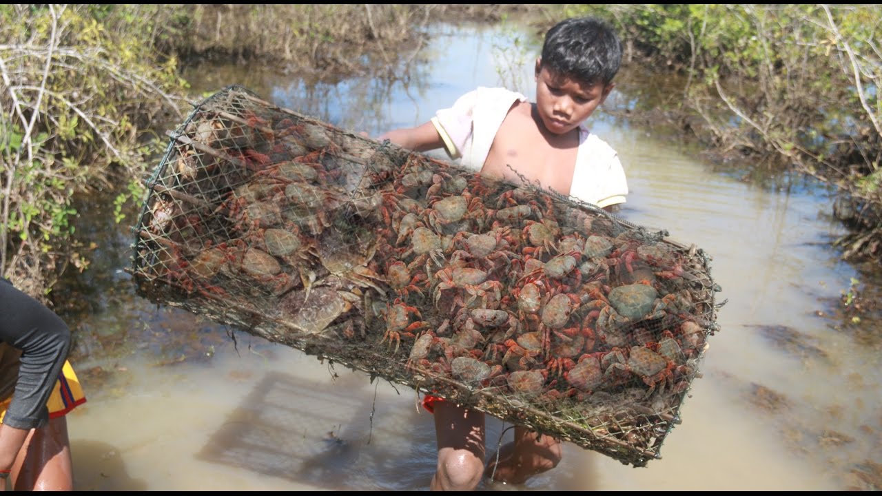 Amazing 2 Children Catch Crabs - How To Catch Crabs Using The Net In Cambodia