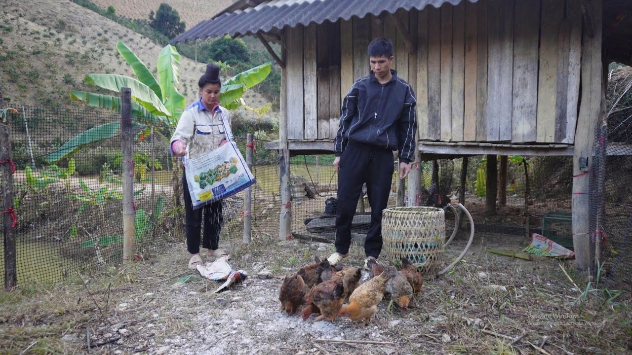 A Couple from the Mountains Feeding Their Chicks - So Peaceful