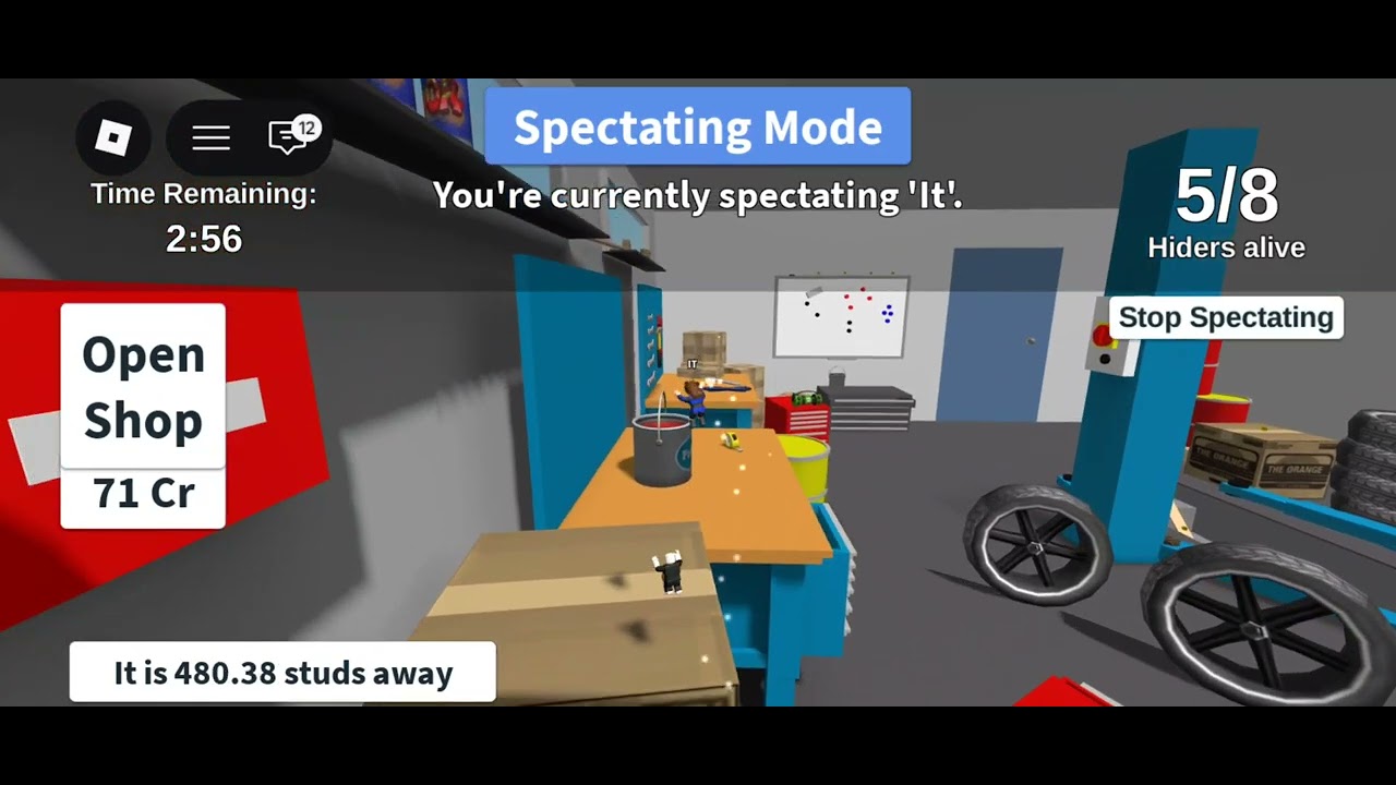 YOU CAN'T RUN BUT YOU CAN HIDE