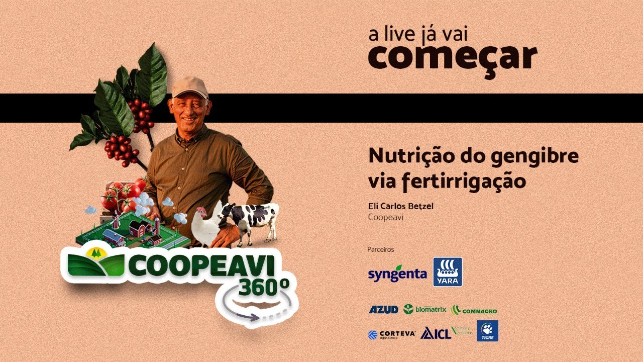 Coopeavi 360º - Nutrição do gengibre via fertirrigação