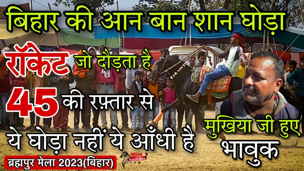 बिहार की आन बान शान घोड़ा रॉकेट जो दौड़ता है 45 की रफ़्तार से मुखिया जी हुए भावुक #BrahmapurMela2023