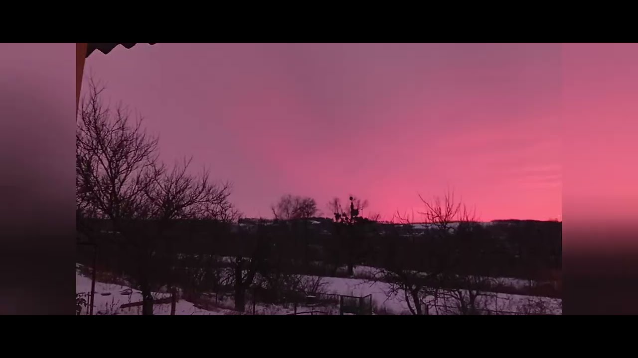 огляд нашої дачі біля лісу