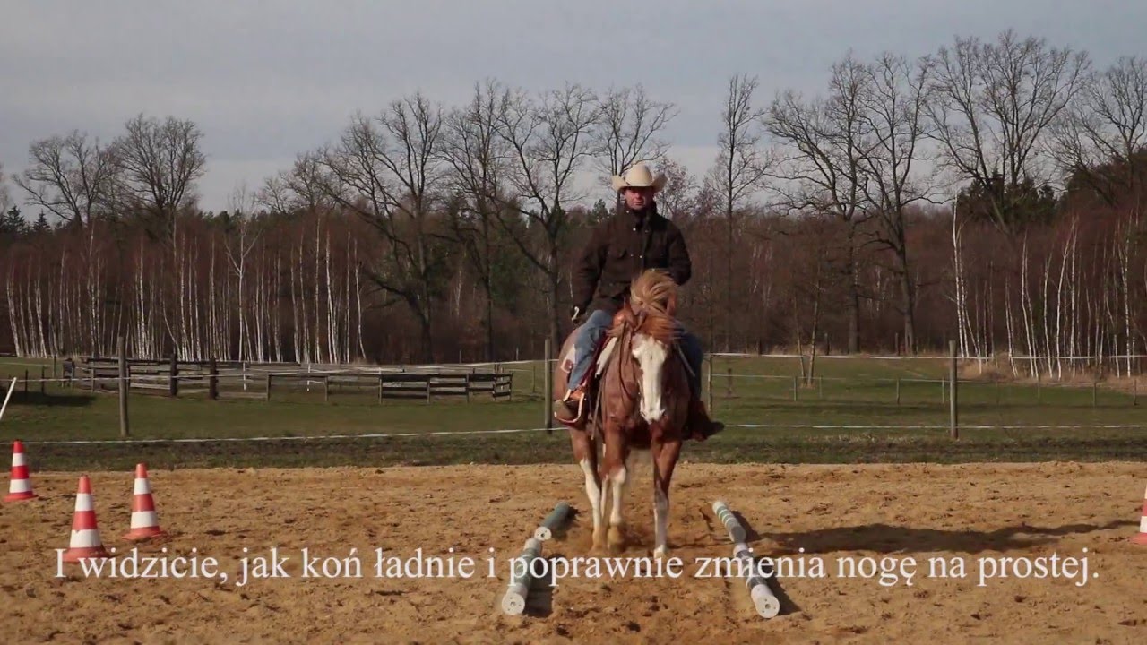 Western Horsemanship Training 3 - Claus Theurer - Wechseln