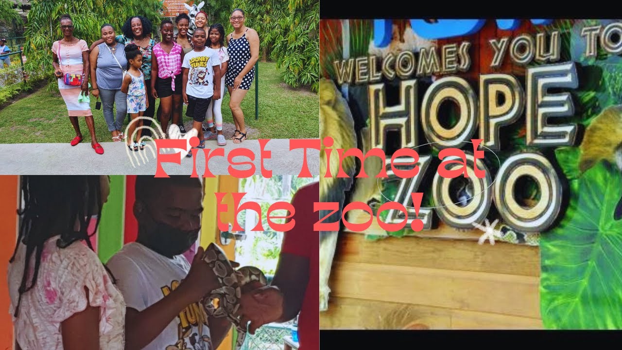 My First Time At The Zoo- IamRomesha