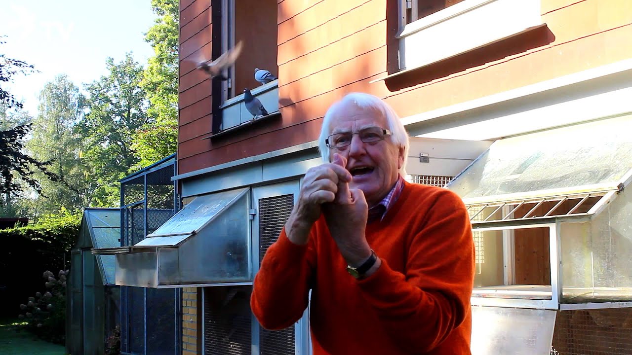 Wolfgang Roeper Interview Part 12/26 Taubenschlag (Brieftauben)