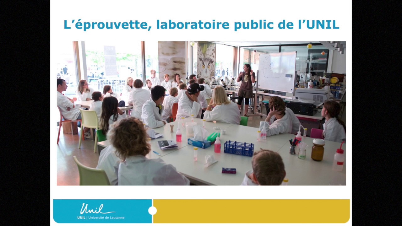 La m&eacute;diation scientifique et culturelle dans le paysage de la d&eacute;mocratisation des savoirs