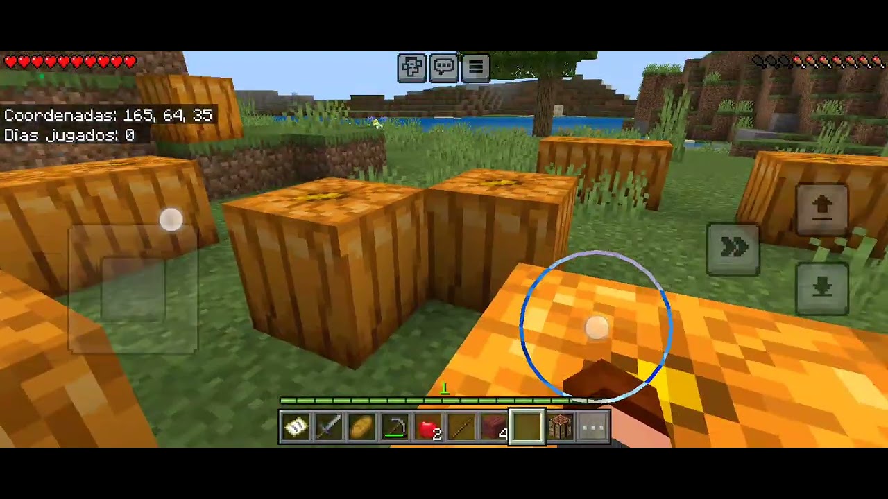 Jugando Minecraft parte 2