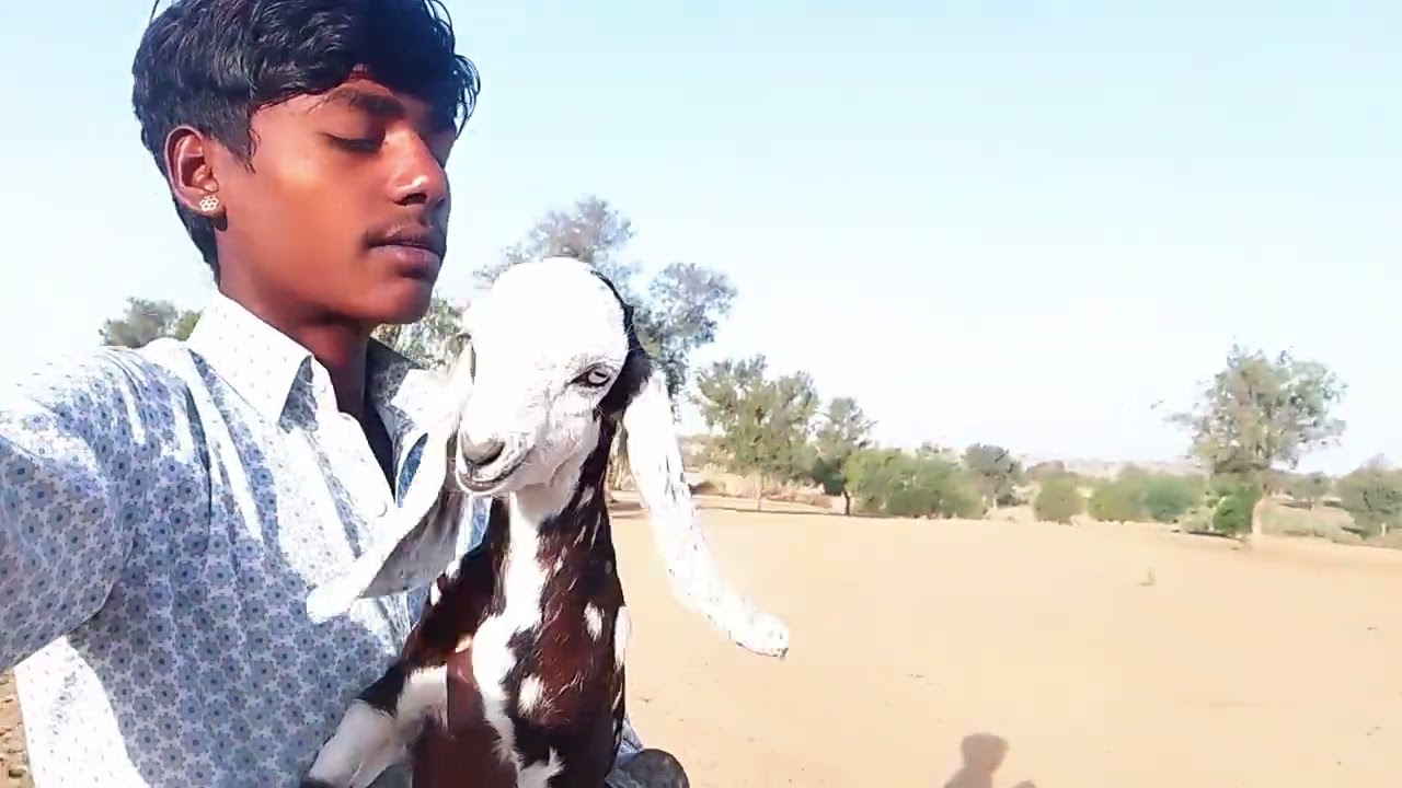 भाई यूट्यूब पर सब्सक्राइब करें