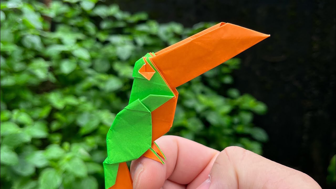 Toucan(Wei Lin Chen)