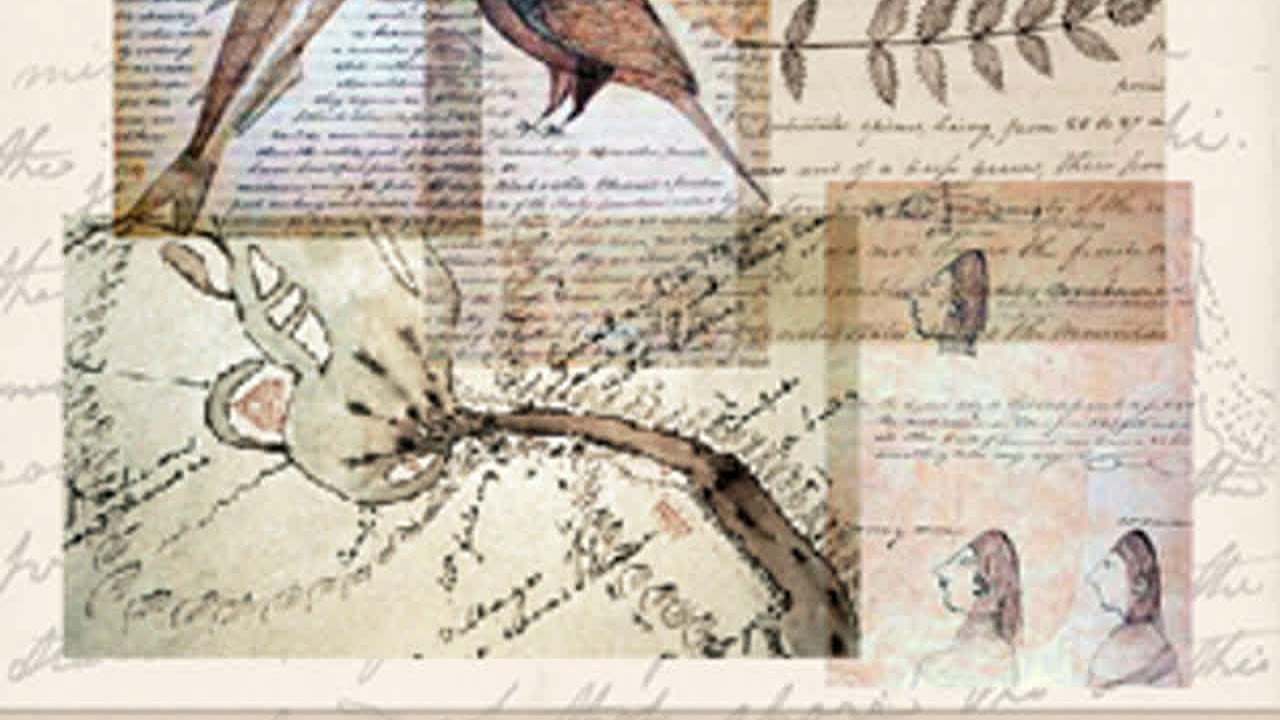 The Journal of Lewis and Clarke (1840) by Meriwether LEWIS Part 1/2 | Full Audio Book
