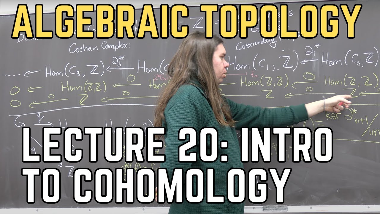 Algebraic Topology 20: Introduction to Cohomology