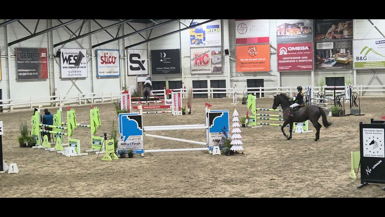 Cupcake Prova Z (H&M Chilli Willi x Balou Du Rouet, 2020) clear round queenscup 