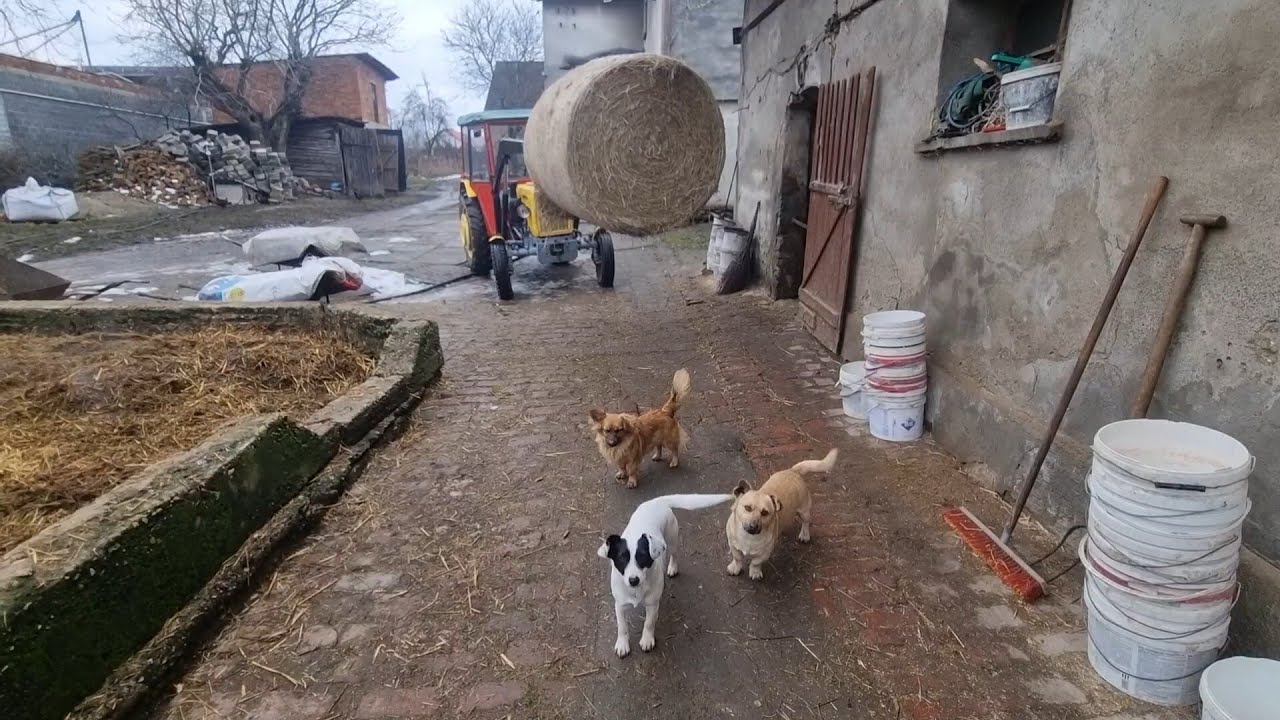 Był śnieg i nie ma/ idzie kolejna fala mrozów