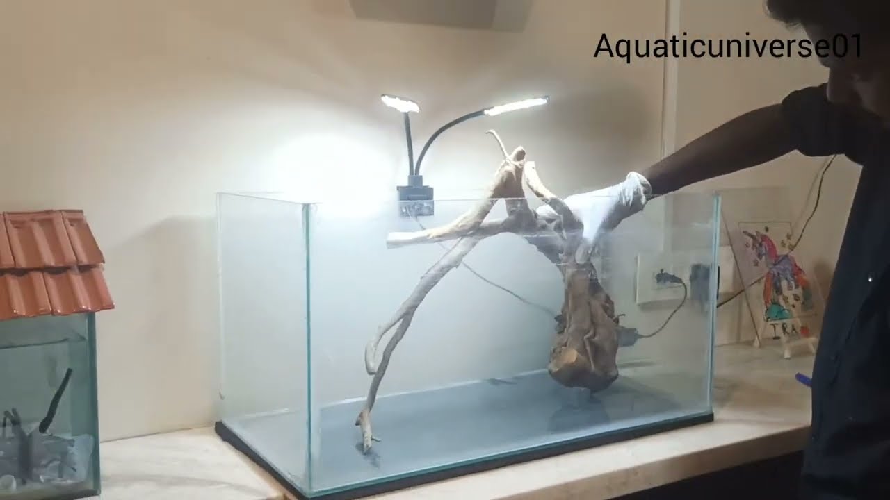 Cave setup low maintenance planted Aquarium#aquarium #art #asmr #fish#fresh water#trending 