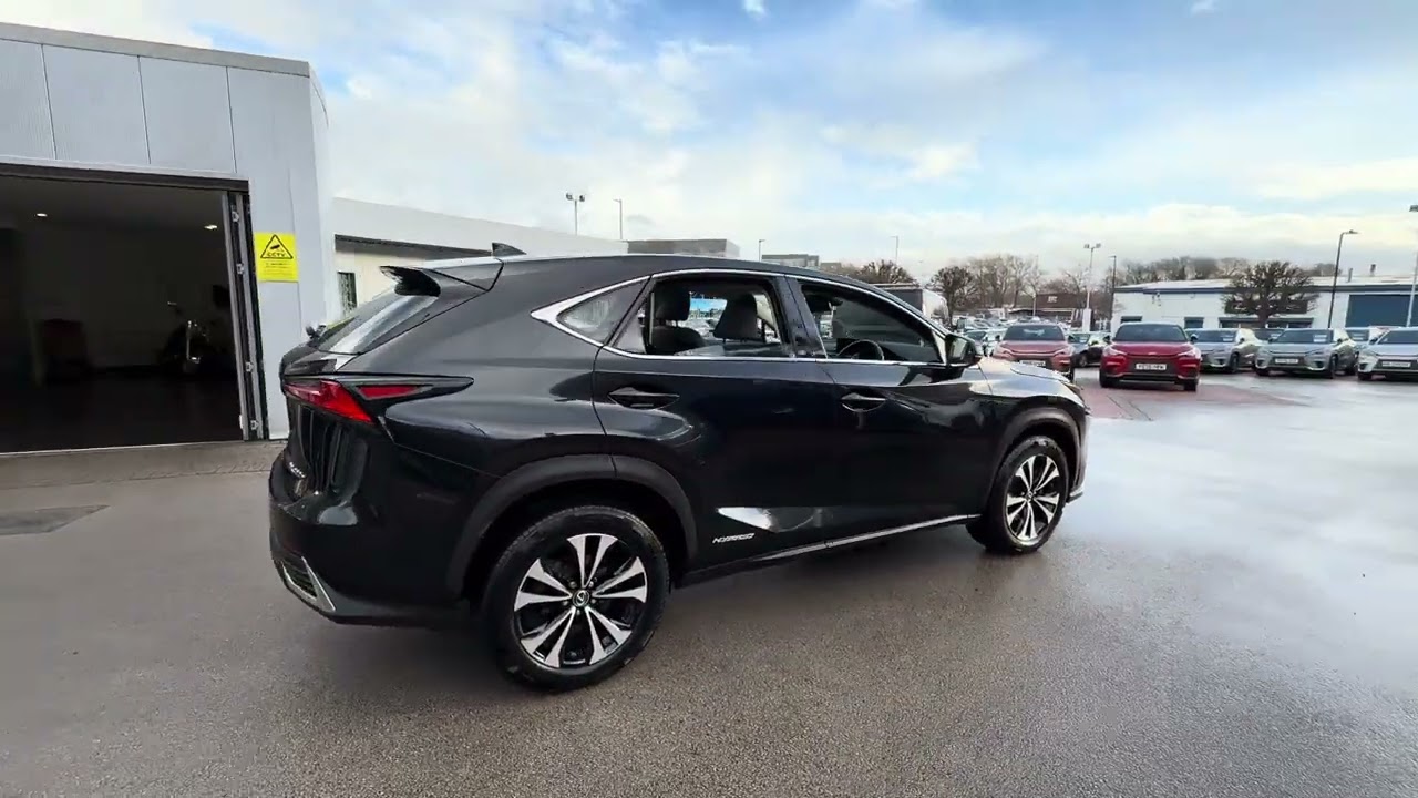 NX300h