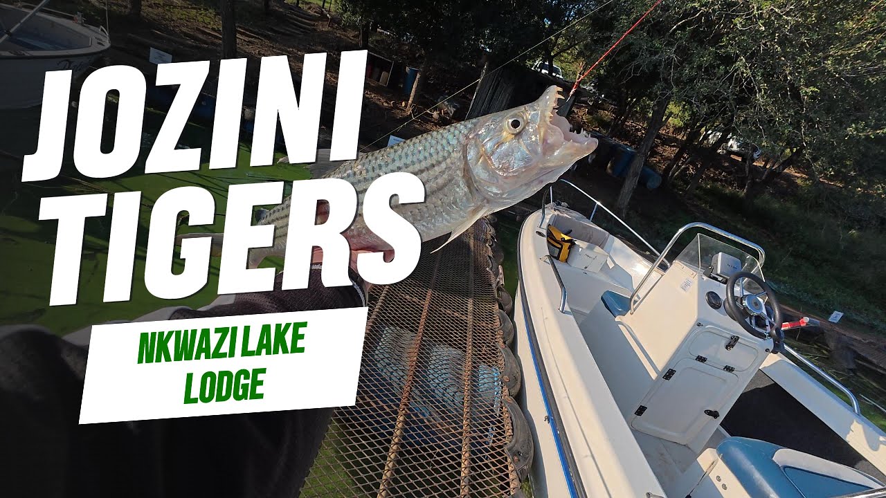 Fishing the docks for South African Tigerfish | Jozini Dam