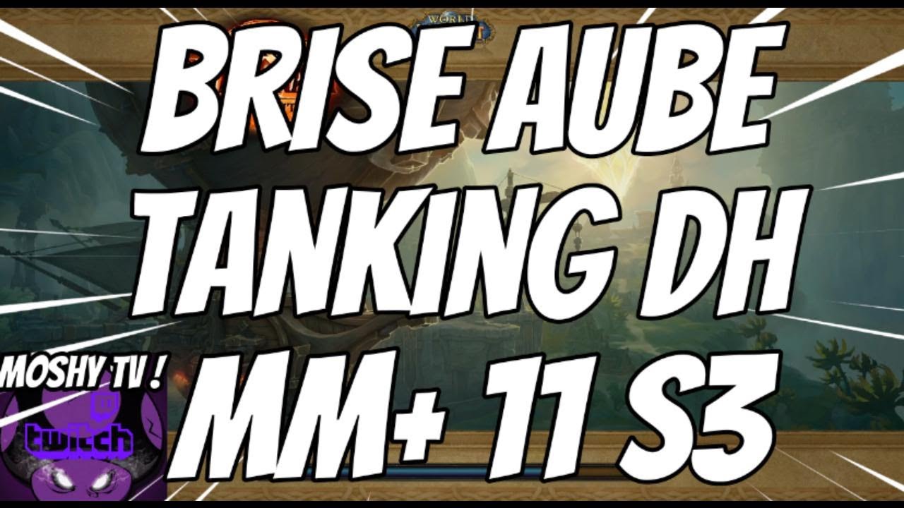 POV DH Tank BRISE AUBE  MM+ 11