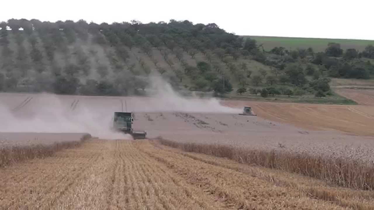 [HD] Weizenernte 2014 in Ostdeutschland /Wheat Harvest 2014