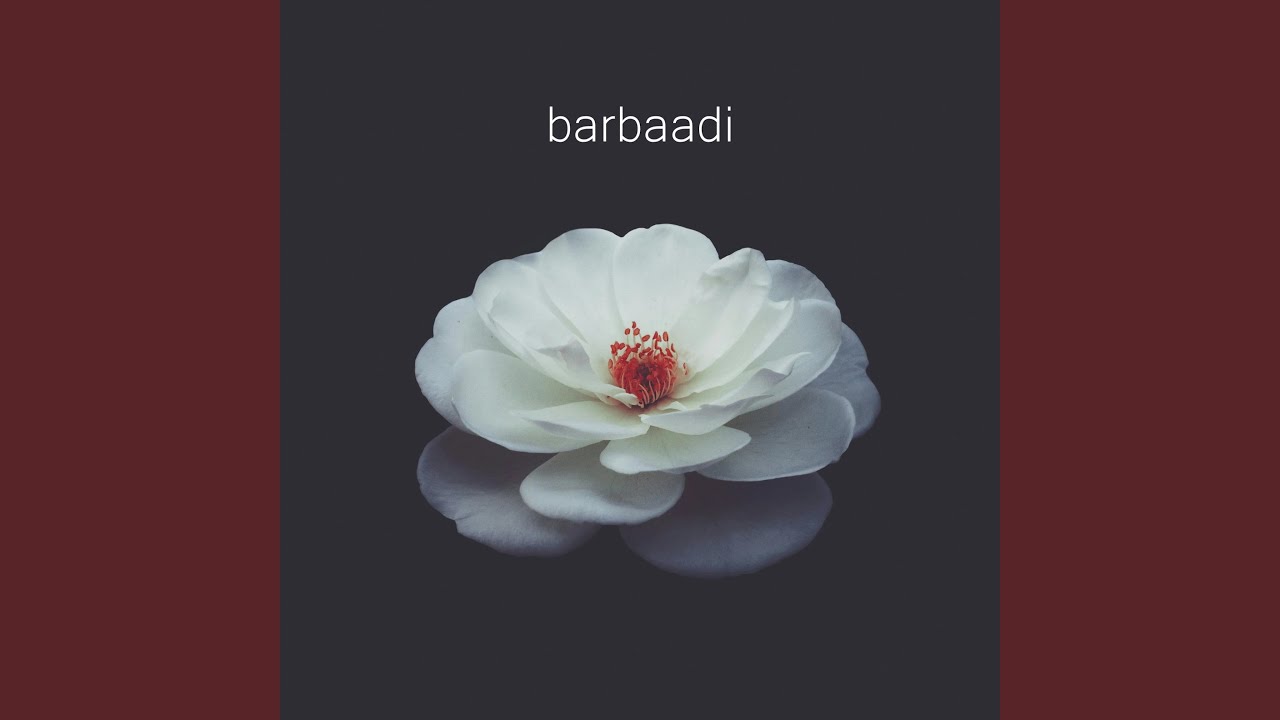 barbaadi