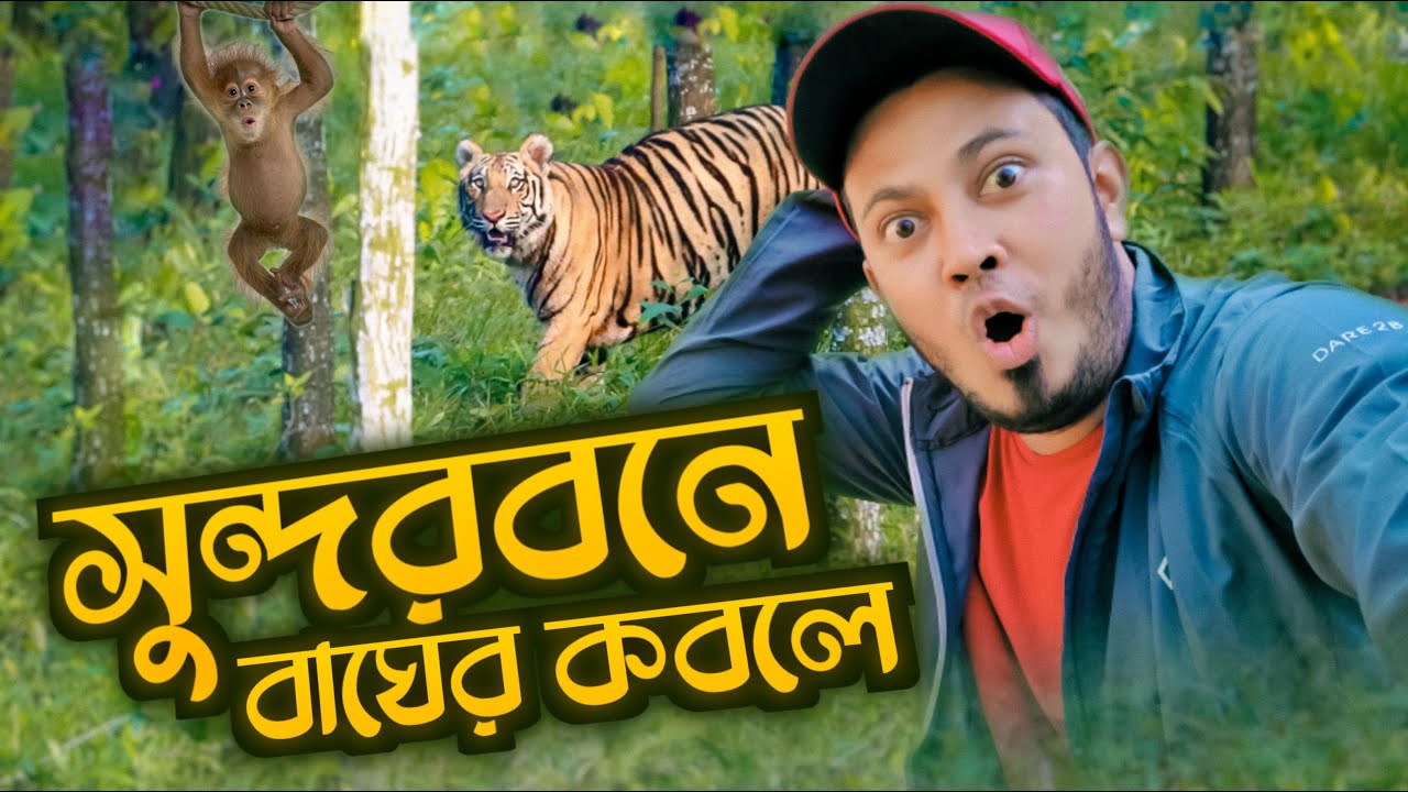সুন্দরবনে বাঘের কবলে | Sundarban Vlog | Novo Rosh | Fahim Sharier