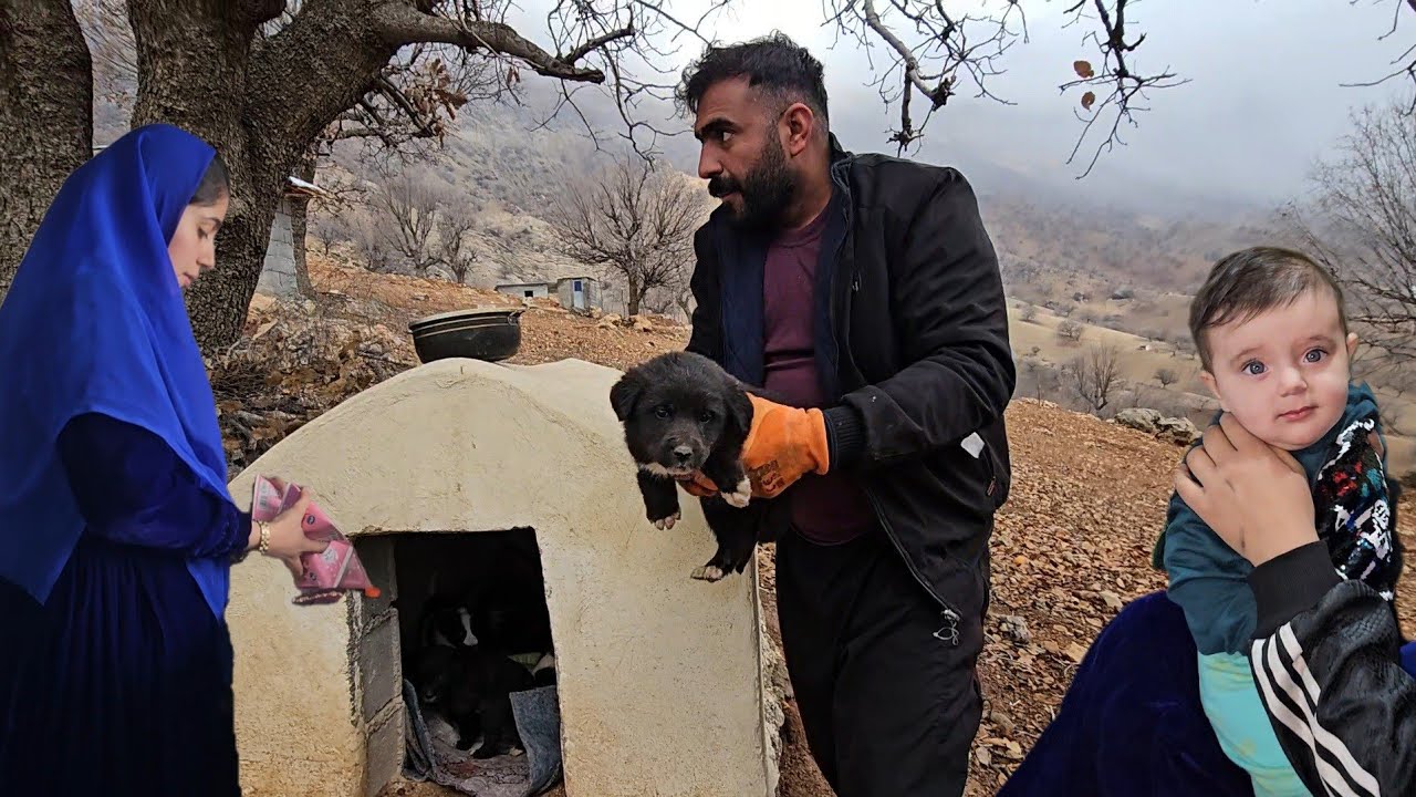 Hojjat and Farzaneh prepared a place to sleep and warm food for the puppies.