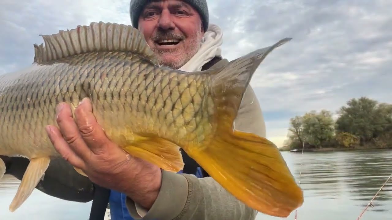 Delta Dunării - Mila 23 Pescuit la Crap