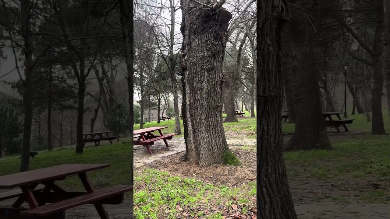 Istanbul Emirgan Park – Silent Walk | No Talking