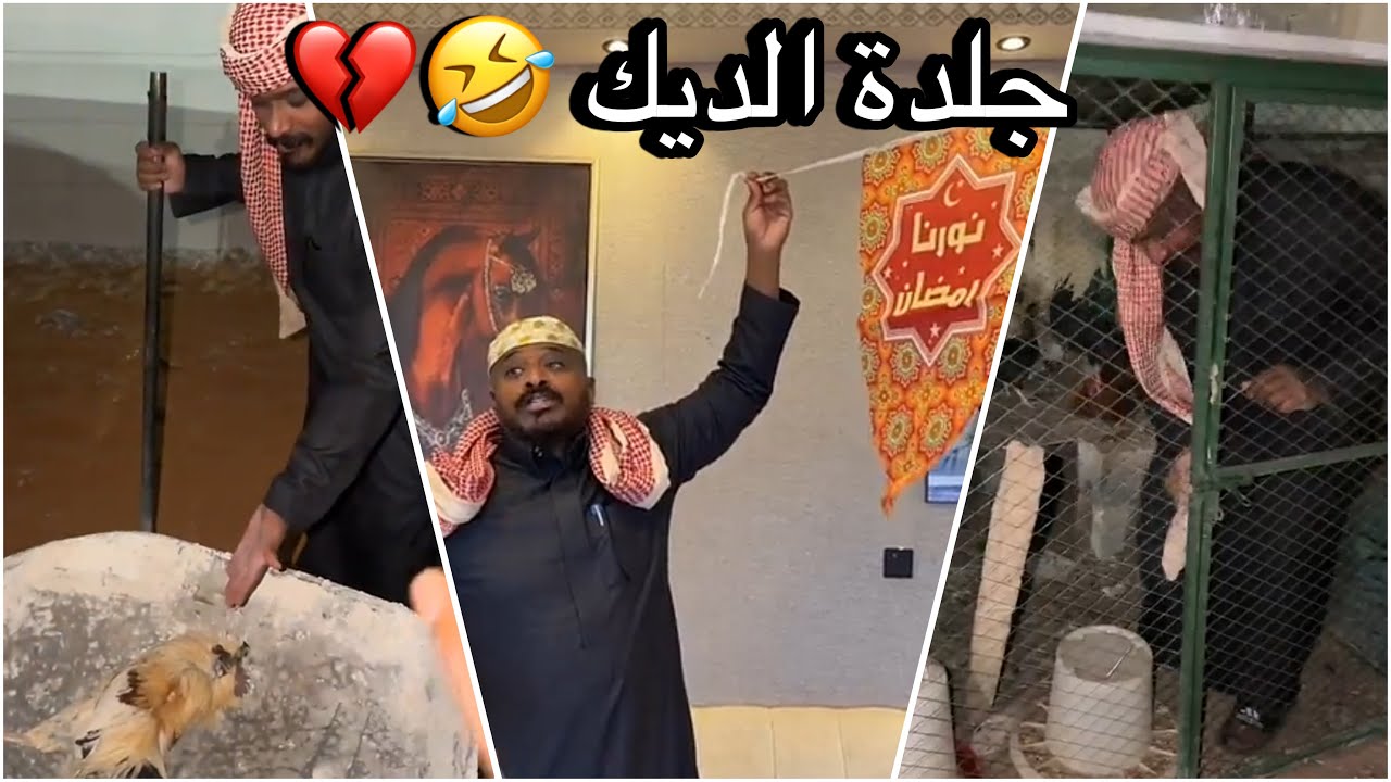 سنابات سلوم بطي | سلوم يغدر بروك ويقفل عليه القفص مع الديك 🤣💔 