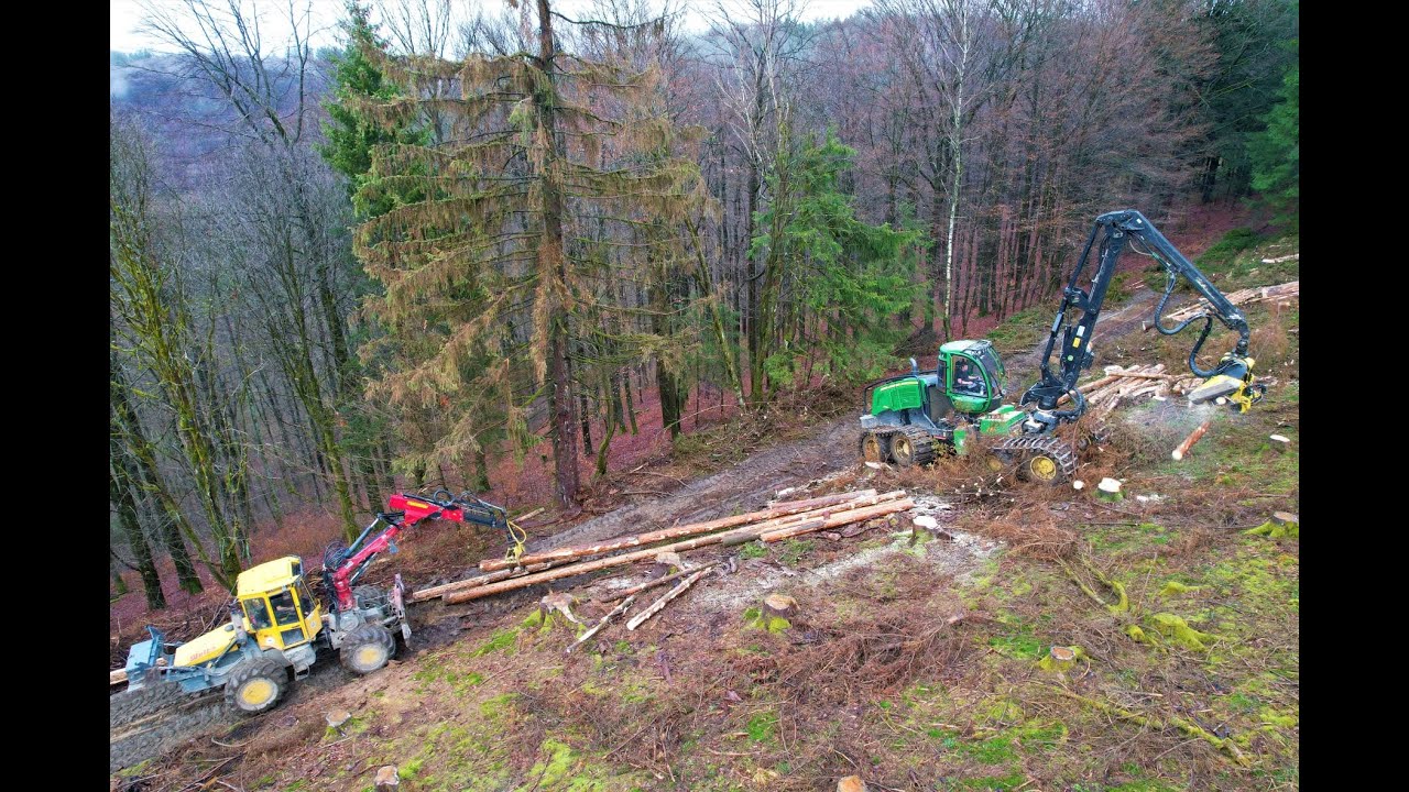 🌲 John Deere 1270G & 1210E & Welte 130 • PCM Forst • Big trees • Harvester in Action • Weltelogging🌲