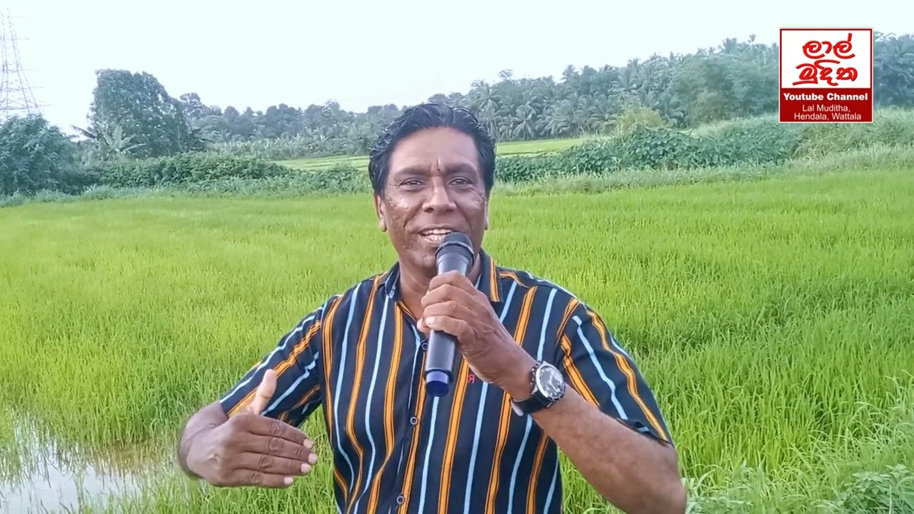Mali මාළී ගම එළිය කරන මිහිර ගෙනෙන Lal Muditha