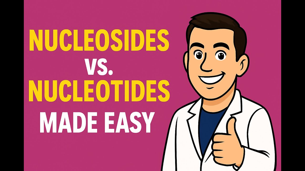 Understanding Nucleosides vs  Nucleotide, for DNA and RNA