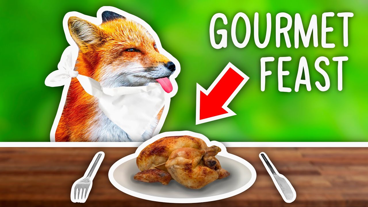I Opened a GOURMET Restaurant For FOXES!