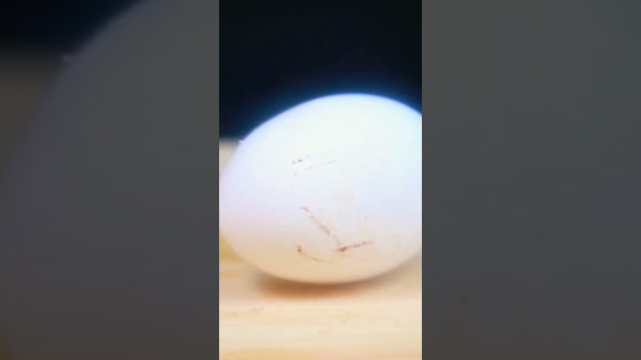 Egg vs Liquid nitrogen #mrgear #liquidnitrogen