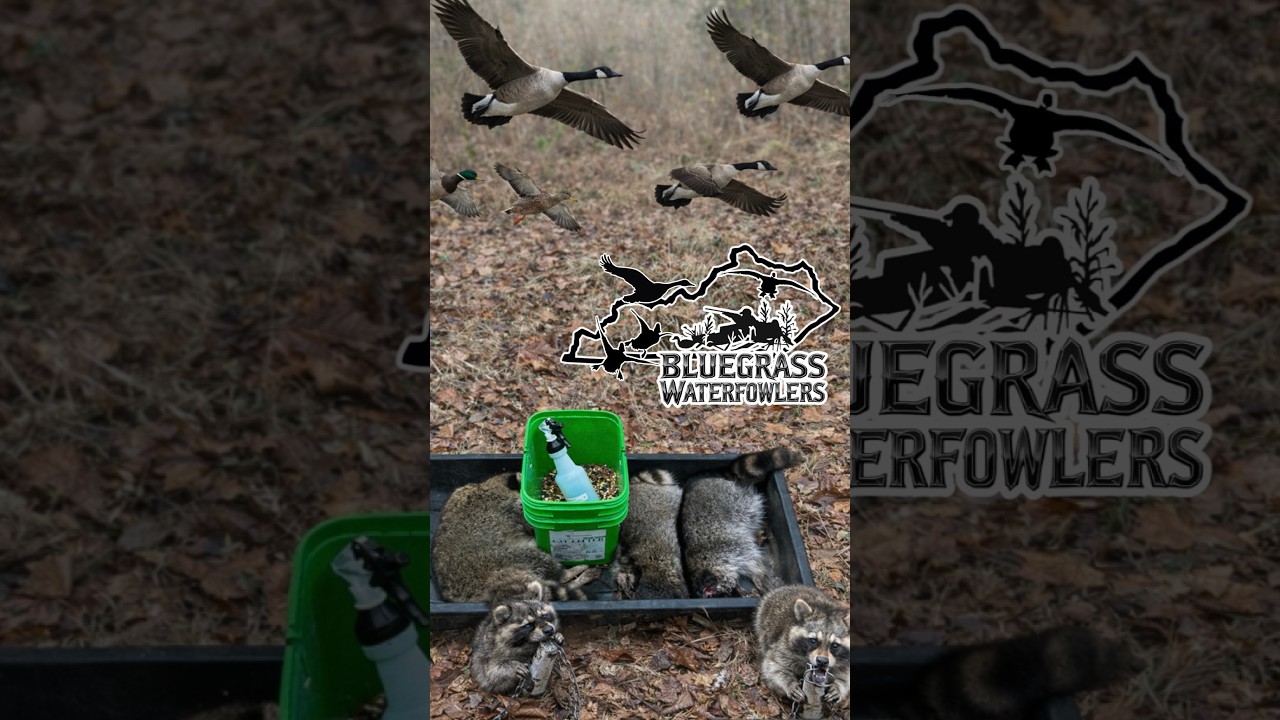 Bluegrass Waterfowlers Season 8 ep 5