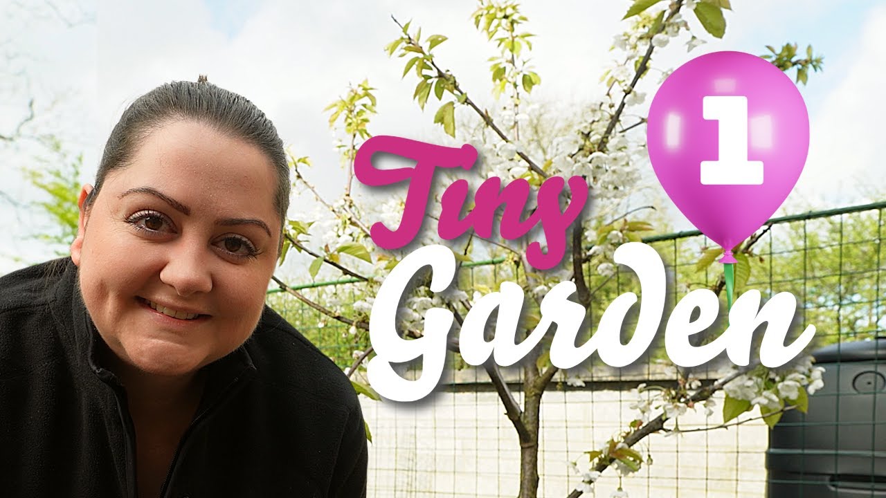 Spring in my small garden | The Tiny Garden