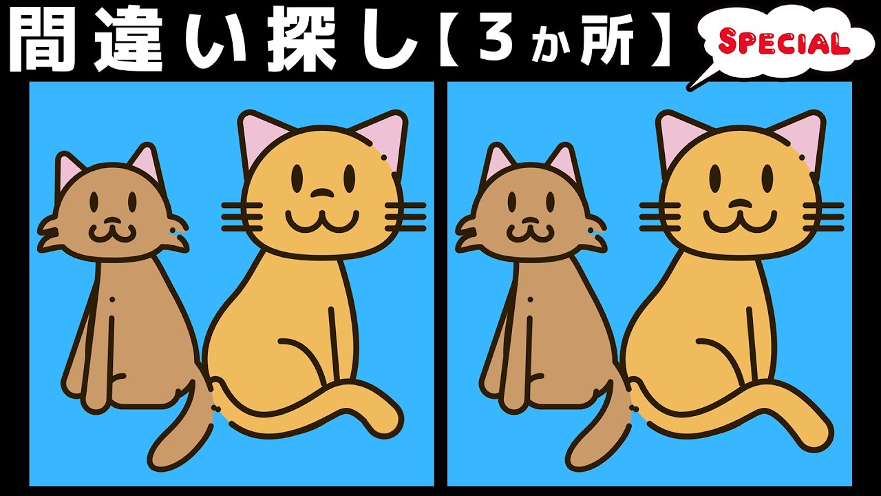 【間違い探し】猫スペシャル全10問！頭の体操で脳活性化！楽しく脳トレ！90秒で3つの間違いを探そう！【Cat Specials】