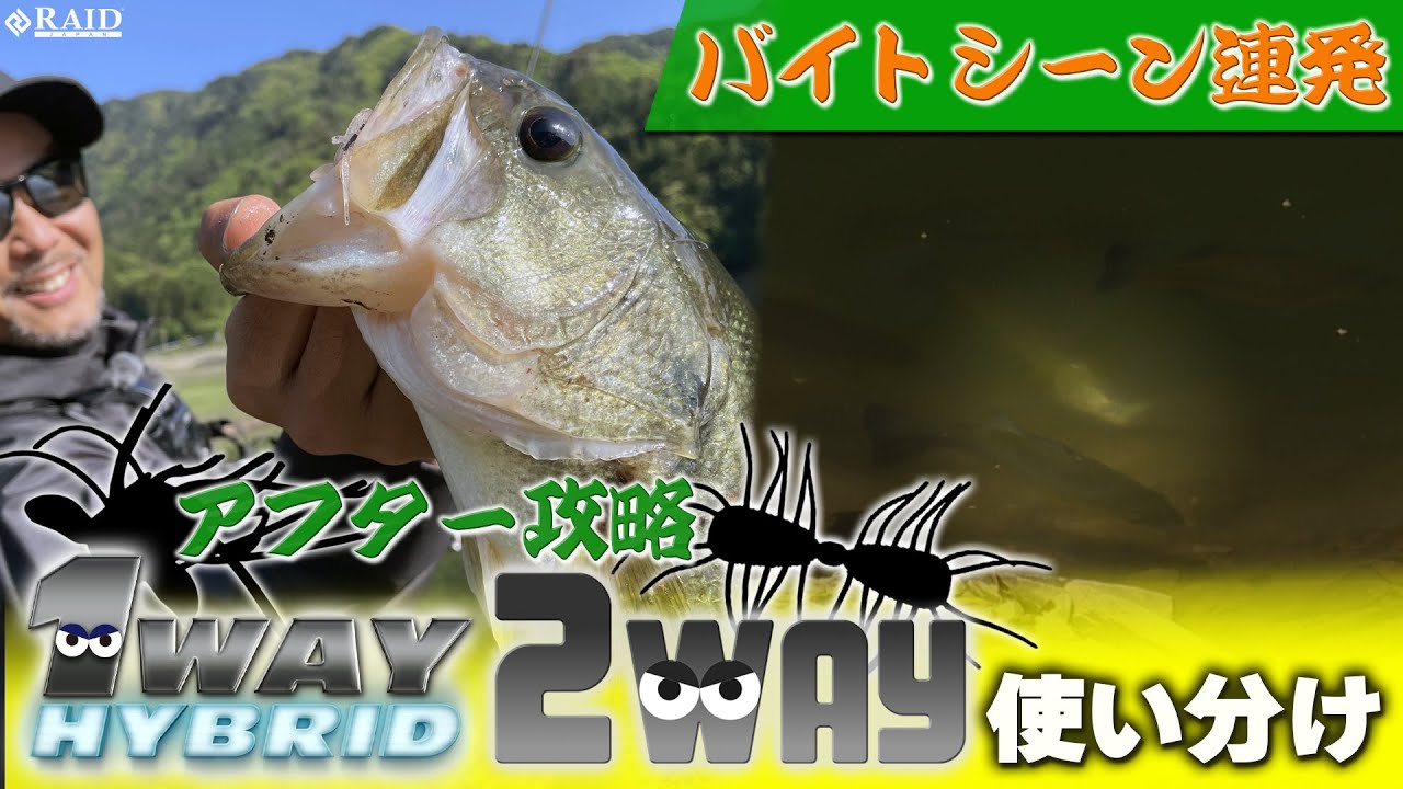 【RAID JAPAN】アフター攻略