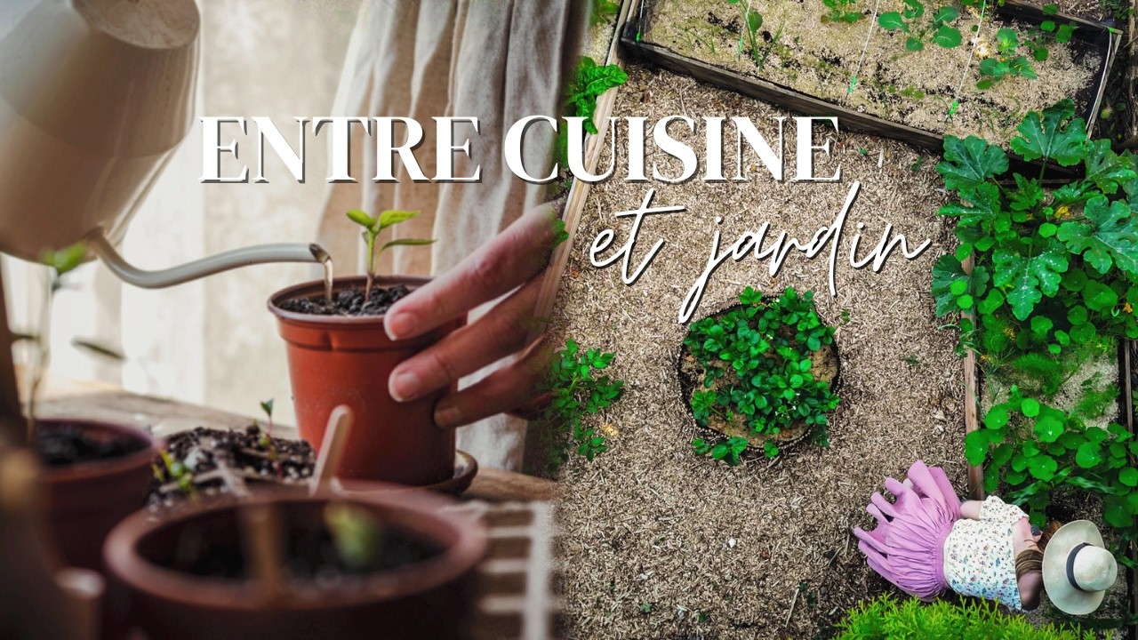 Slow VLOG | Semis d'automne, récolte et cuisine du potager