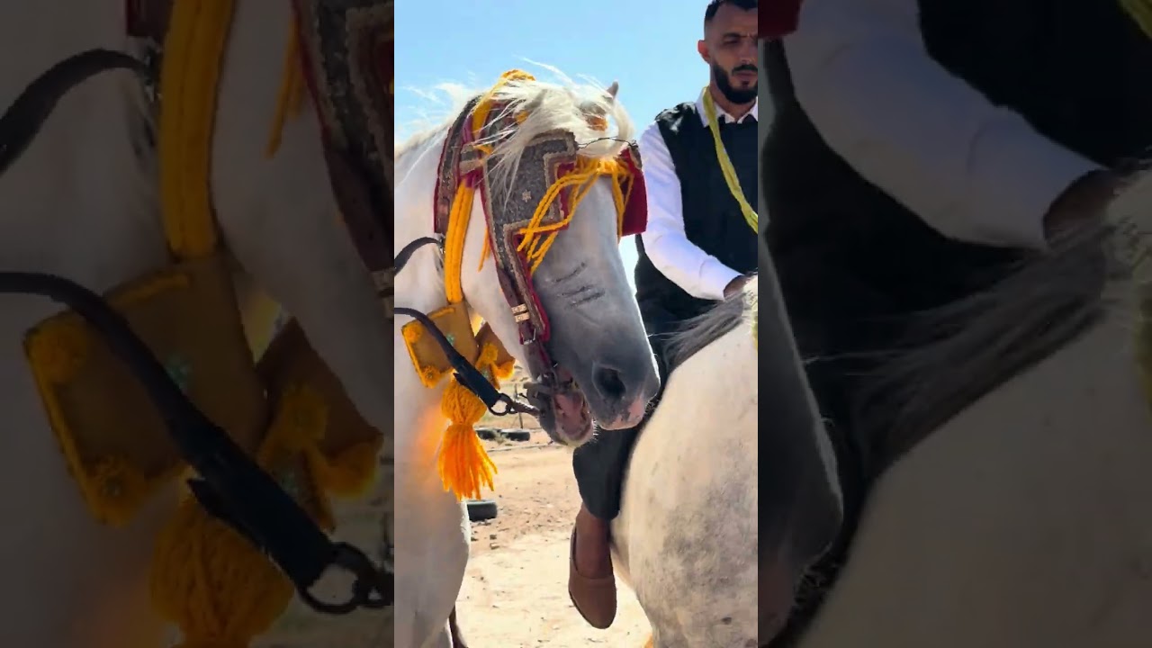 18 juillet 2025زيارتي إلى ولاية أفلو 