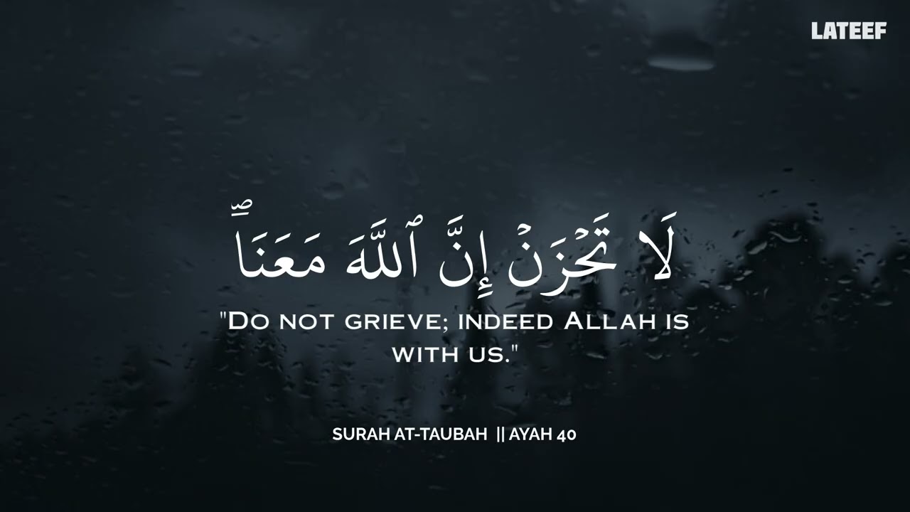 ساعة كاملة🕛🎧 | تلاوة تقشعر لها الأبدان بصوت محمد هشام | Reciter Mohamed Hesham | 💚🎧