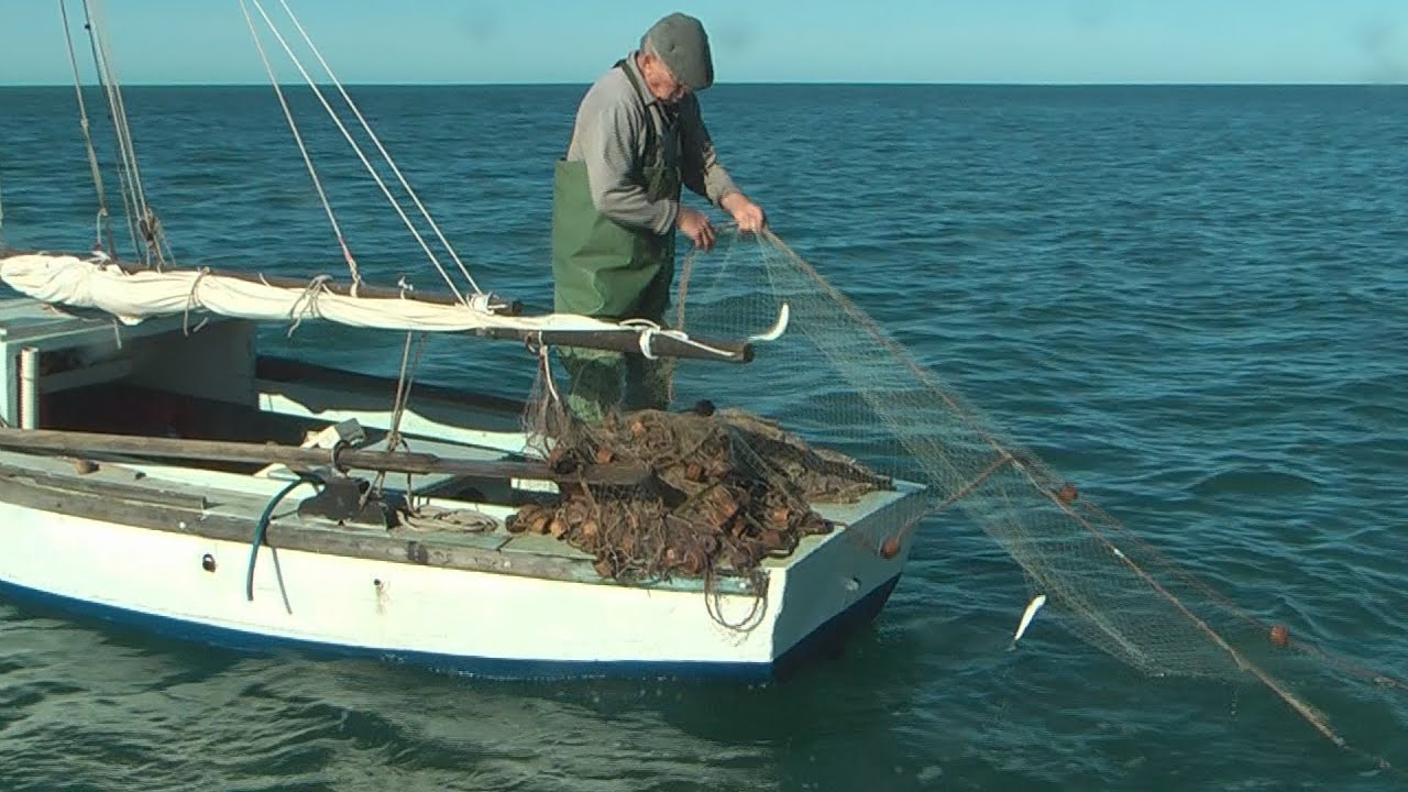 Italian net fishing