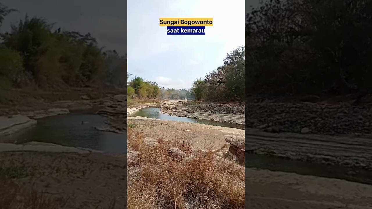 Sungai Bogowonto bisa sekering ini #purworejo #nature #travel #bogowonto
