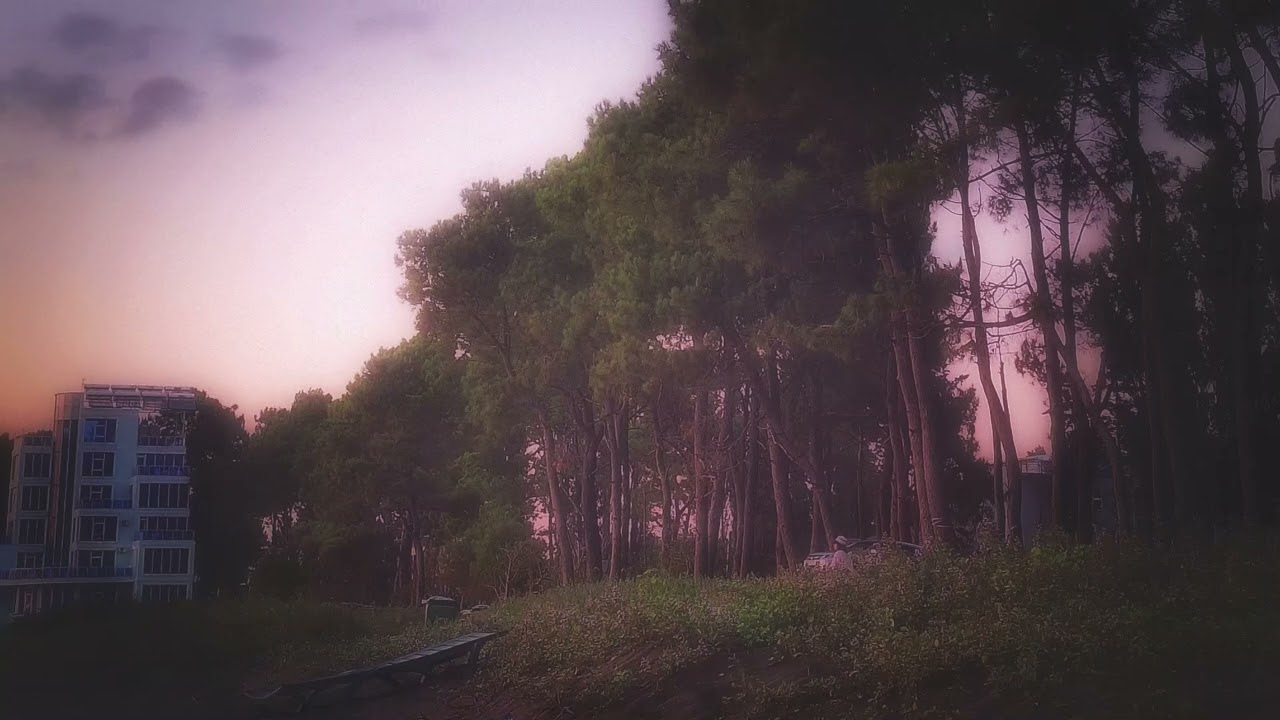 Road to the Coast (1 Hour Version)
