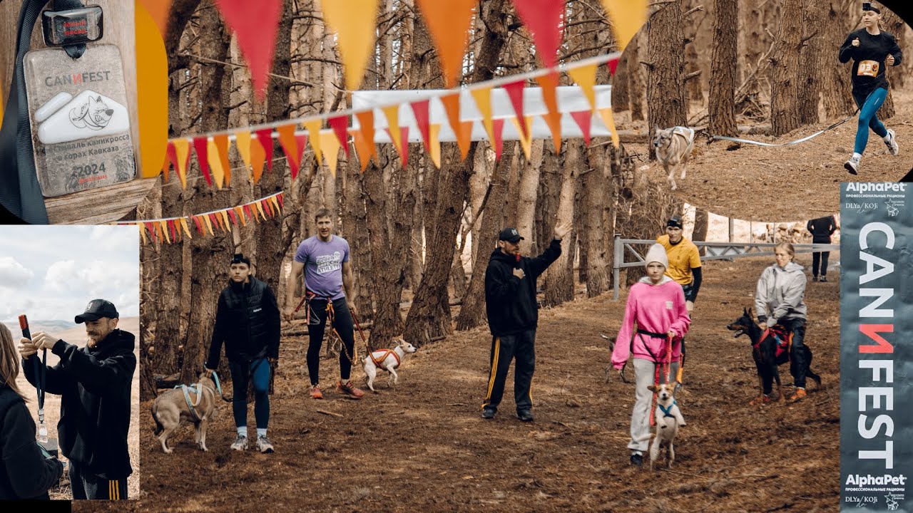 CANИFEST | ФЕСТИВАЛЬ С СОБАКАМИ | СОРЕВНОВАНИЯ ПО КАНИКРОССУ, БАЙКДЖОРИНГУ